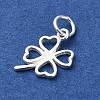 925 Sterling Silver Charms STER-M119-12S-2