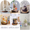 Glass Cloche Dome Covers AJEW-WH0460-033B-5