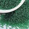 MIYUKI Round Rocailles Beads SEED-X0056-RR0173-1