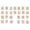 Natural Rose Quartz Pendants G-P585-05G-02-1