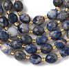 Natural Sodalite Beads Strands G-F809-A19-01A-4