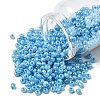 6/0 Glass Seed Beads X1-SEED-A011-4mm-143-1