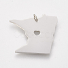 Tarnish Resistant 201 Stainless Steel Pendants X-STAS-T038-65-2