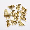 Metal Alloy Pendants X-PALLOY-A13039-AG-1