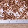 MIYUKI Delica Beads Small SEED-X0054-DBS0170-4