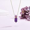 Natural Amethyst Pointed Hexagon Perfume Bottles Pendant Necklace NJEW-CA0001-07A-2