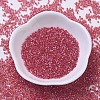 MIYUKI Delica Beads X-SEED-J020-DB0172-2