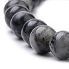 Natural Larvikite Beads Strands X-G-S259-06-12mm-3