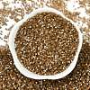 Imitation Cat Eyes Glass Seed Beads X-SEED-H003-03O-3