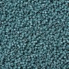 MIYUKI Delica Beads SEED-J020-DB2131-3