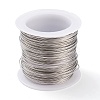 Non-Tarnish 316 Surgical Stainless Steel Wire TWIR-L004-01B-P-1