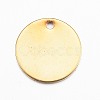 304 Stainless Steel Charms STAS-G137-09G-2