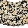 Natural Dalmatian Jasper Beads Strands G-A272-A01-32-5