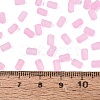FGB Frosted Transparent Glass Seed Beads SEED-N013-05A-05-4