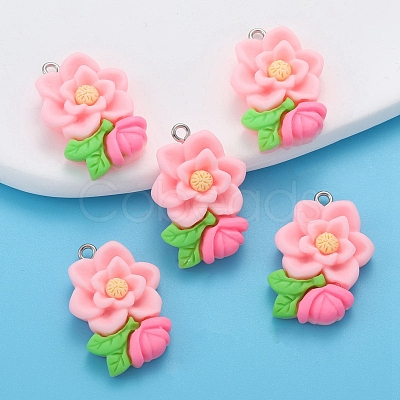 Resin Pendants PW-WG225B2-02-1