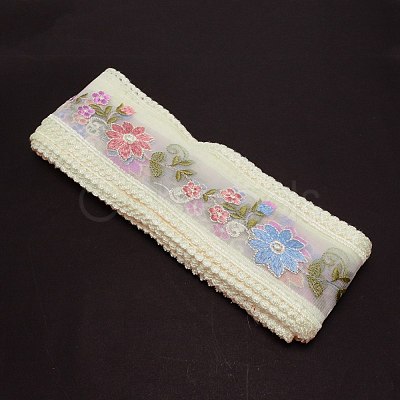 Embroidery Polyester Lace Trim OCOR-WH0064-79-1