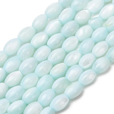 Dyed Natural Freshwater Shell Beads Strands SH-CBA2978-06C-1