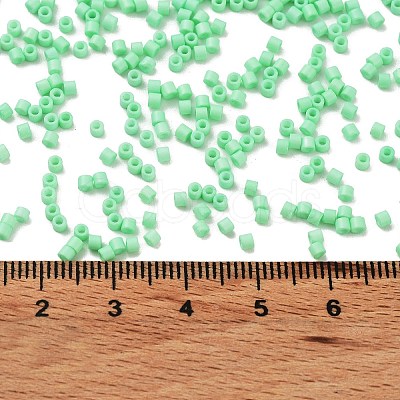 Baking Paint Glass Seed Beads SEED-S042-05B-59-1