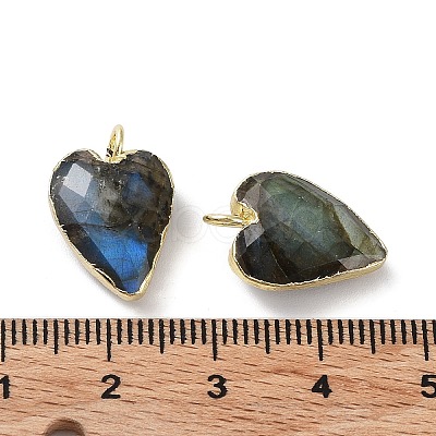 Natural Mixed Stone Pendants G-G012-11G-B-1