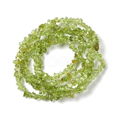 Natural Peridot Chip Beads Strands G-G905-09-1