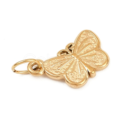 304 Stainless Steel Charms STAS-K307-07C-G-1