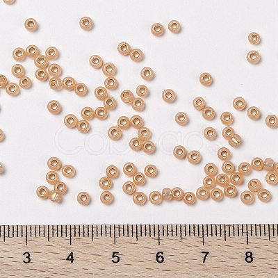MIYUKI Round Rocailles Beads X-SEED-G008-RR0580-1