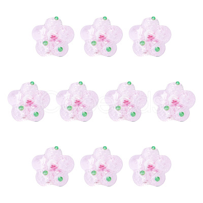 10Pcs Handmade Lampwork Beads LAMP-TADJ0001-01J-1