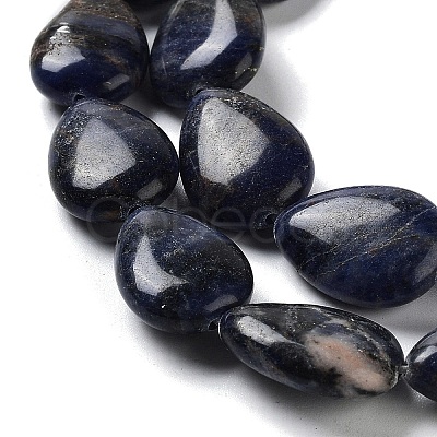 Natural Sodalite Beads Strands G-L242-19-1