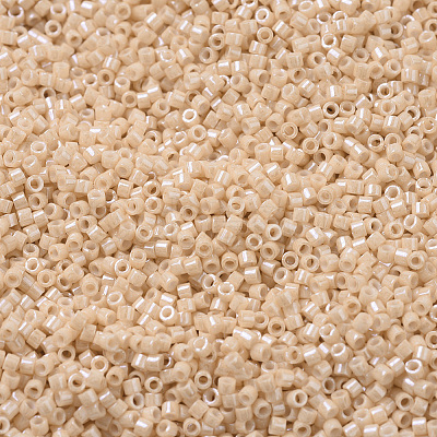 MIYUKI Delica Beads SEED-MY11-DB0205-1
