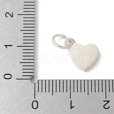 S925 Sterling Silver Pendant LS-STER-H115-05A-S01-1