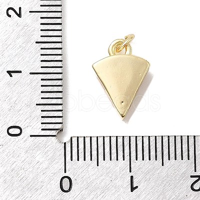 Brass Enamel Charms KK-P338-20G-02-1