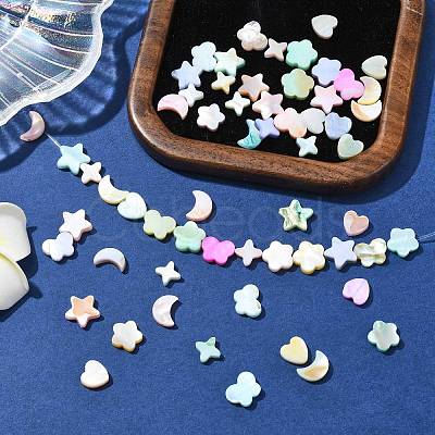 60Pcs 6 Styles Macaron Color Natural Shell Dyed Beads BSHE-CJ0001-13-1