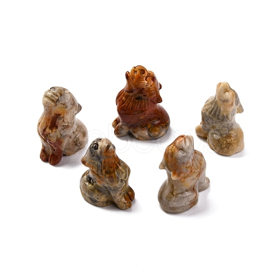 Natural Crazy Agate Display Decorations DJEW-P019-A21-1