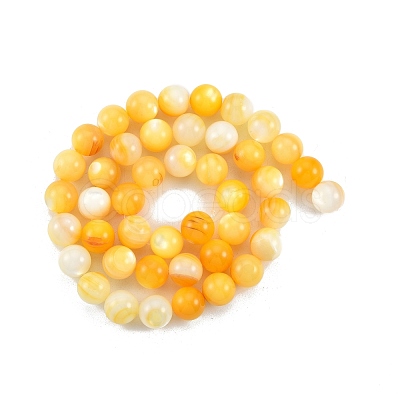 Natural Golden Yellow Shell Beads Strands SSHEL-G024-01D-1