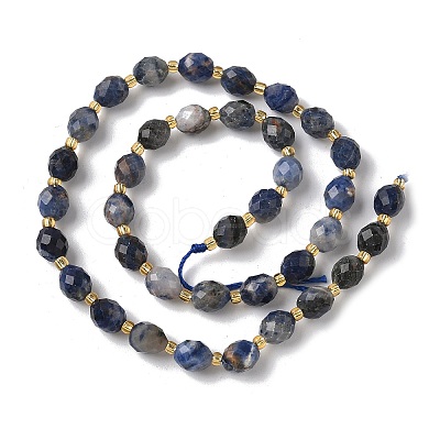 Natural Sodalite Beads Strands G-F809-A19-01A-1