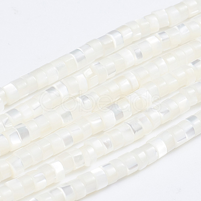 Natural Trochid Shell/Trochus Shell Beads Strands X-SSHEL-L016-13A-1