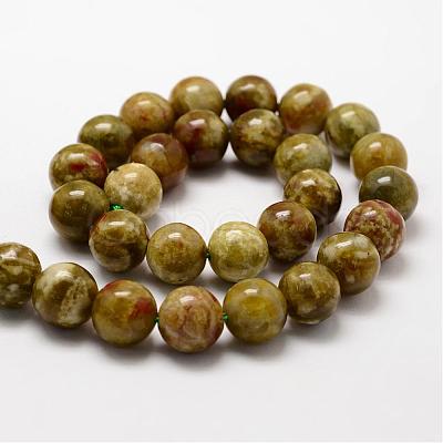 Round Natural Dragon Blood Jasper Beads Strands G-K072-8mm-1