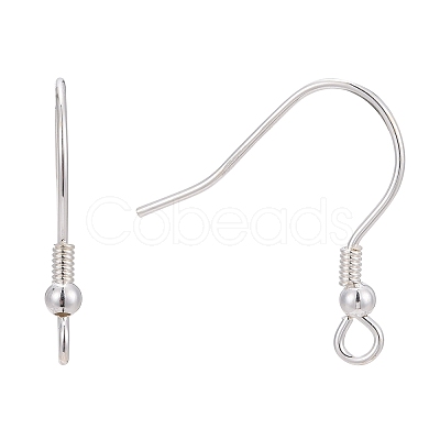 925 Sterling Silver Earring Hooks STER-M031-02S-1