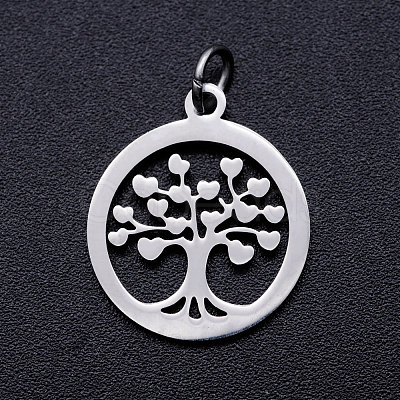 Non-Tarnish 304 Stainless Steel Pendants LS-STAS-T046-JA350-1A-1