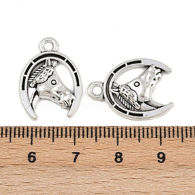 Tibetan Style Alloy Pendants TIBE-B003-19AS-1