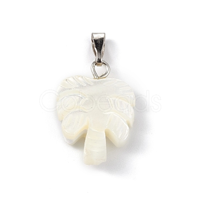 Natural Trochid Shell/Trochus Shell Pendants SSHEL-M021-10-1