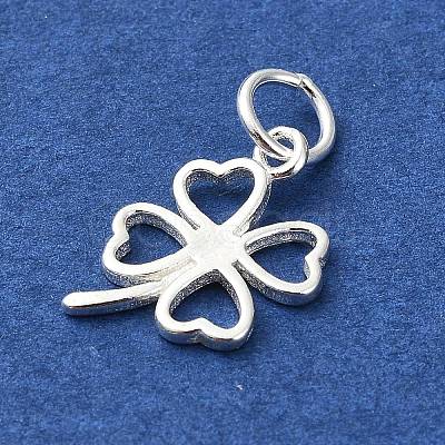 925 Sterling Silver Charms STER-M119-12S-1