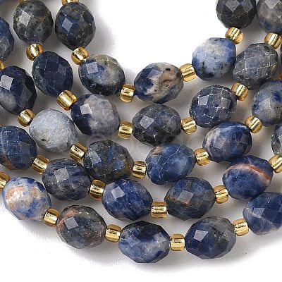 Natural Sodalite Beads Strands G-F809-A19-01A-1