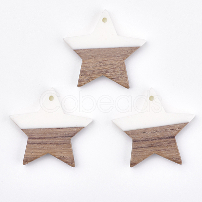 Resin & Walnut Wood Pendants RESI-T023-23B-1