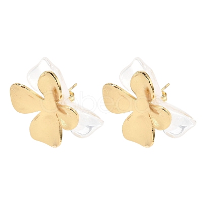 304 Stainless Steel Resin Stud Earrings SA-CBAF6AD-18G-C-1