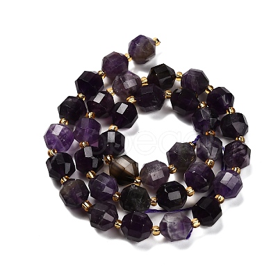 Natural Amethyst Beads Strands G-P568-B01-01-1