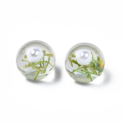 Translucent Acrylic Cabochons TACR-N006-14B-1