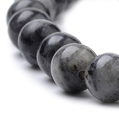 Natural Larvikite Beads Strands X-G-S259-06-12mm-1