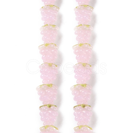 Handmade Lampwork Beads Strands LAMP-Q036-05A-1