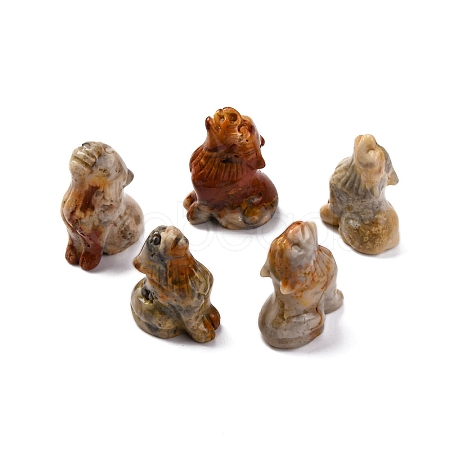 Natural Crazy Agate Display Decorations DJEW-P019-A21-1
